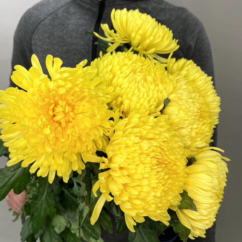 Bouquet of 5 single-headed chrysanthemums, standart