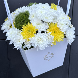 chrysanthemum in a box
