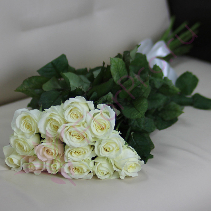 15 белых роз Аваланч 60 см, стандартный