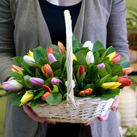 45 tulips in a basket