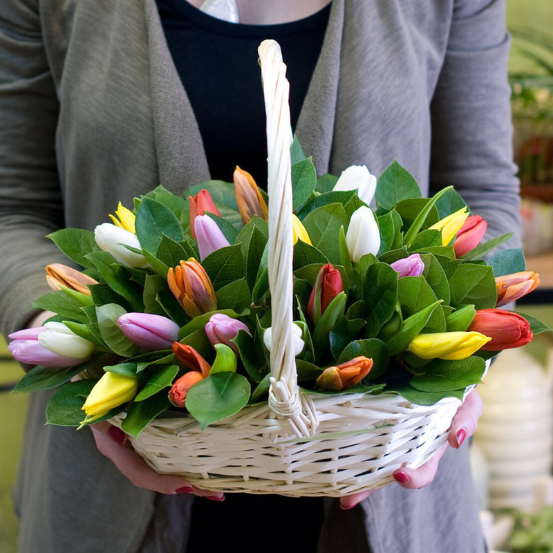 45 tulips in a basket, standart