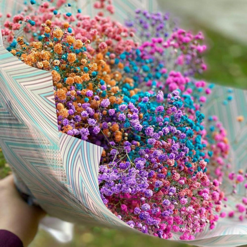 Rainbow bouquet of gypsophila, standart