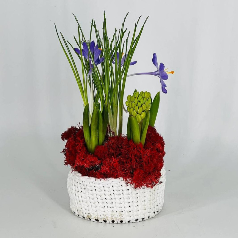 Букет из гиацинтов первоцветов с крокусами в плетёном кашпо ручной работы, стандартный