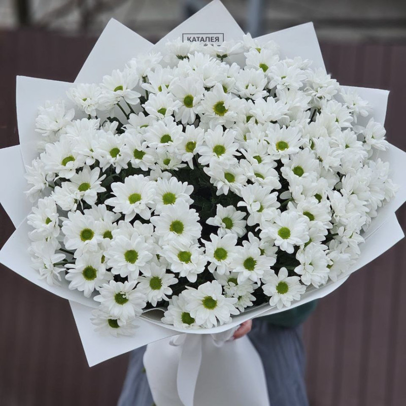 bouquet with chamomile chrysanthemum, standart