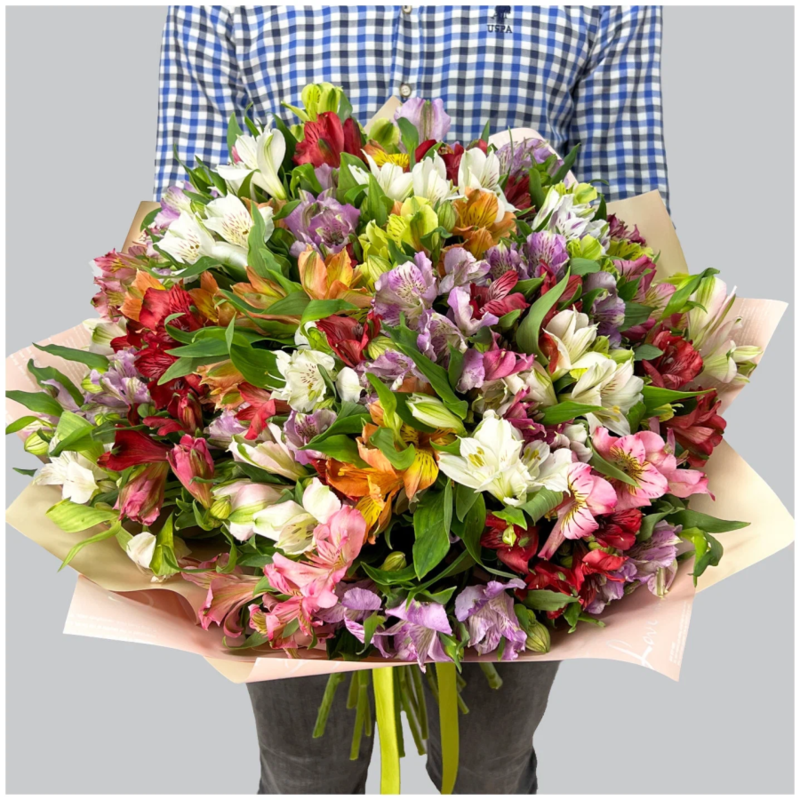 Bouquet of 51 multicolored alstroemerias., standart