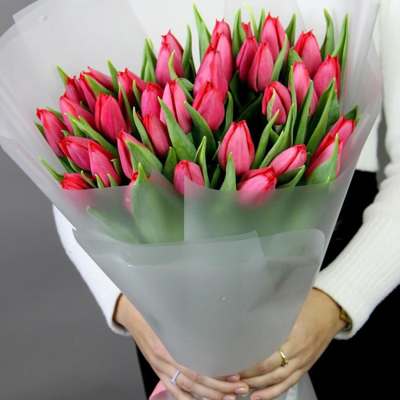 Bouquet of 25 red tulips in transparent packaging, standart