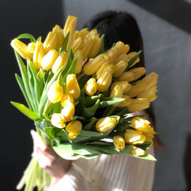 51 yellow tulips