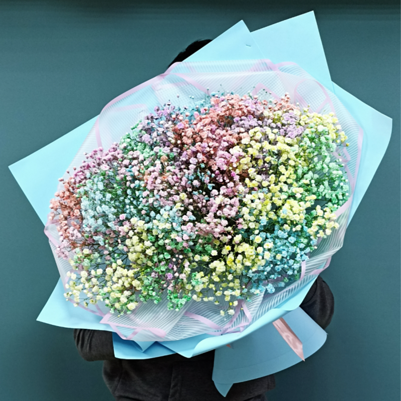Bouquet of Rainbow Gypsophila, standart