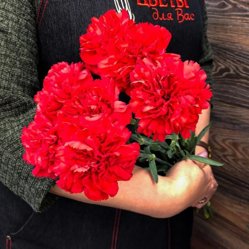 Bouquet of 7 red carnations, standart