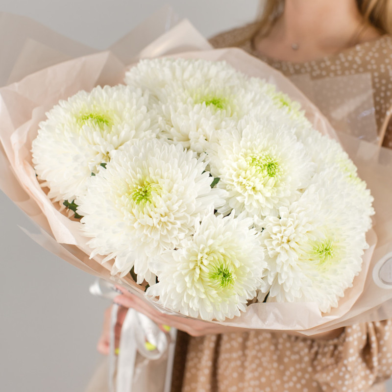 Bouquet of 9 single-headed white chrysanthemums No. 50444, standart