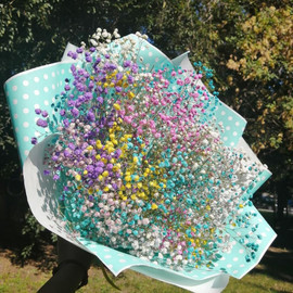 Novosibirsk lights from multi-colored gypsophila ... Hit of 2020