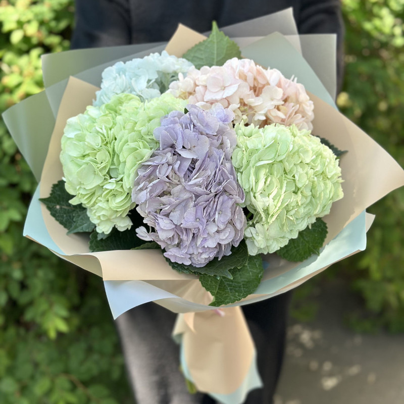 Bouquet of hydrangea, standart