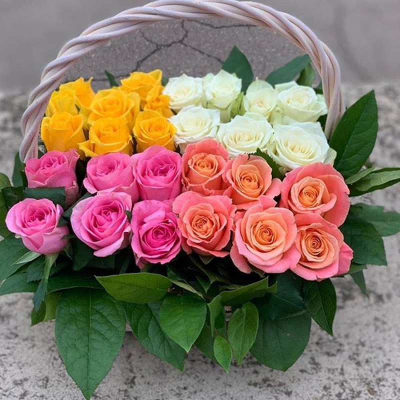 Basket of 27 roses, standart