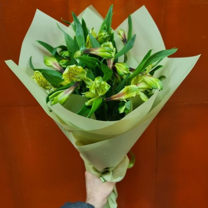 Bouquet of 10 Alstroemeria, standart