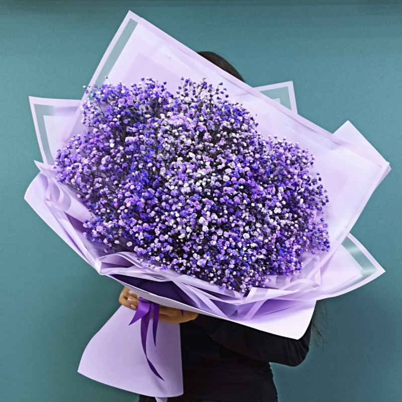 Purple Gypsophila Bouquet, standart