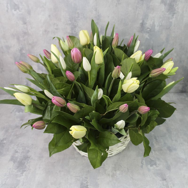 Basket of 51 tulips "Vanilla Sky", standart