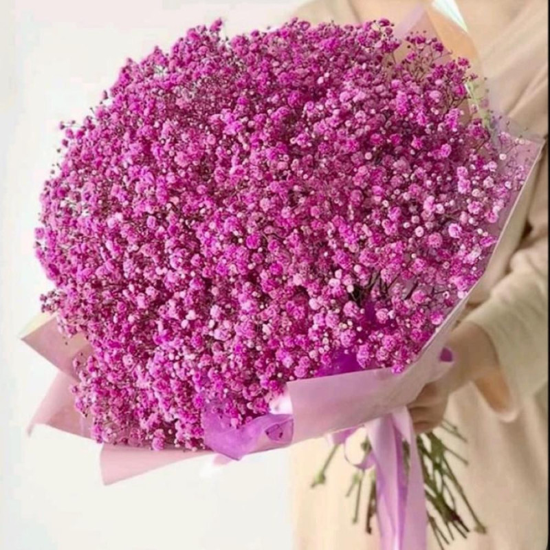 Bouquet of chic fresh pink gypsophila, standart