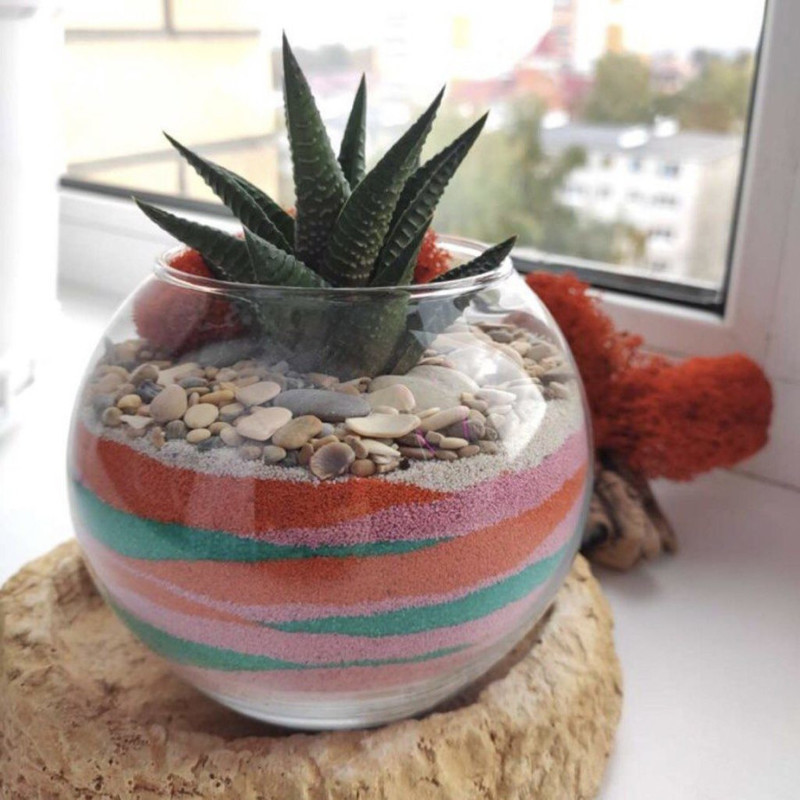Florarium with colored sand, standart