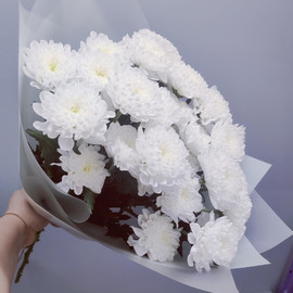 Букет из 5 белых хризантем кустовых в дизайнерском оформлении 50 см