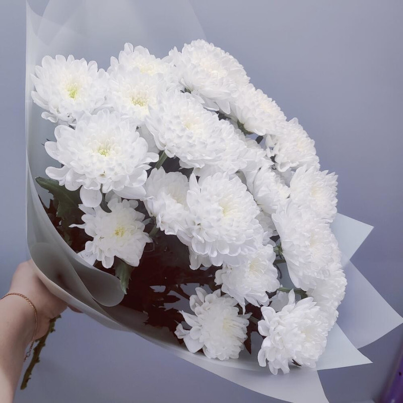 Букет из 5 белых хризантем кустовых в дизайнерском оформлении 50 см, стандартный