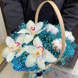 Basket with flowers "Orchid and Gypsophila"