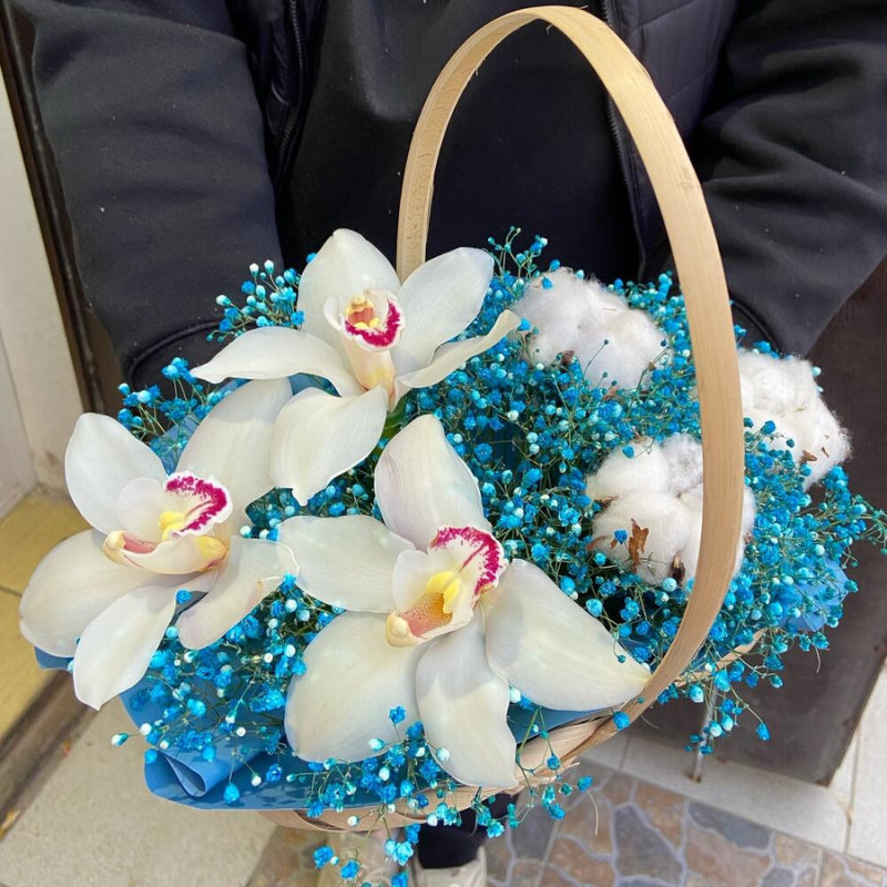Basket with flowers "Orchid and Gypsophila", standart