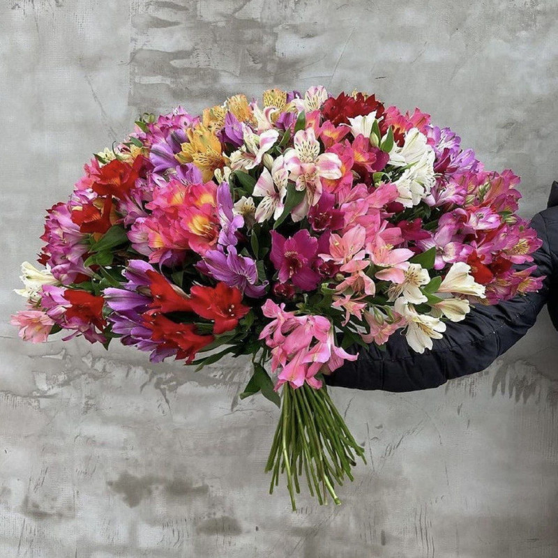 Giant bouquet for your beloved from 51 alstroemerias, standart