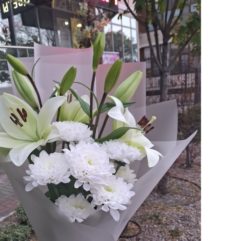 "White Lily and Chrysanthemum", standart