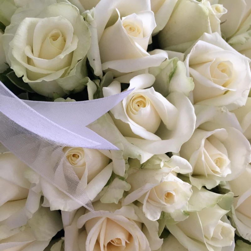 Valentine's Day Dozen White Rose Bouquet With Box & Wine – Valentine's Day  Gifts – New Jersey Blooms - Blooms New Jersey