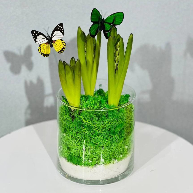 Луковичные первоцветы гиацинты в стеклянной вазе для любимой мамы, стандартный