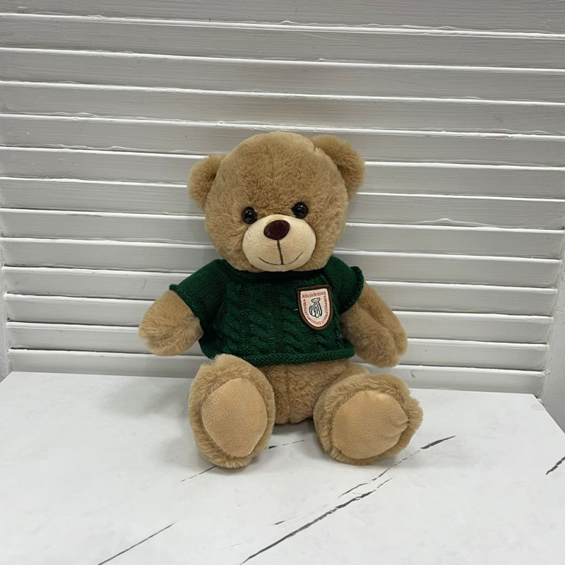 Toy Teddy bear in an emerald sweater small, standart