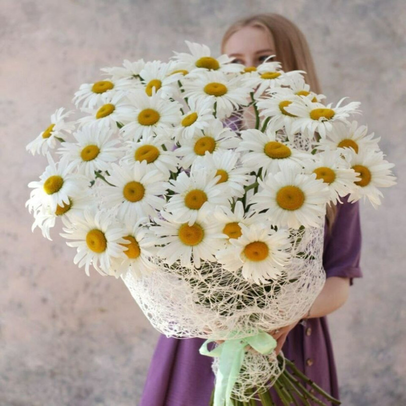 Bouquet of 33 daisies, standart