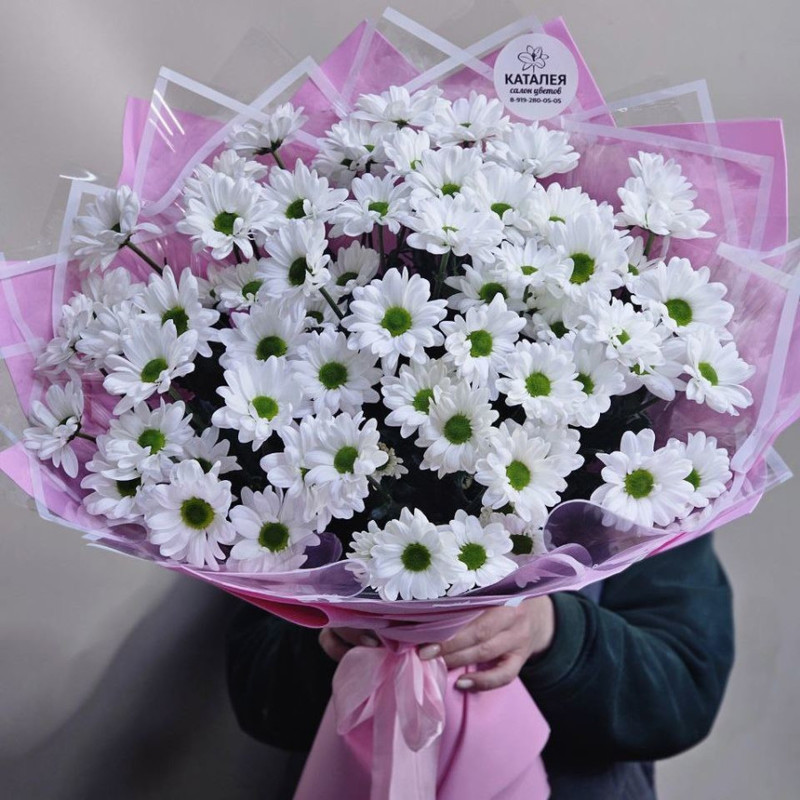 bouquet of white chrysanthemums, standart
