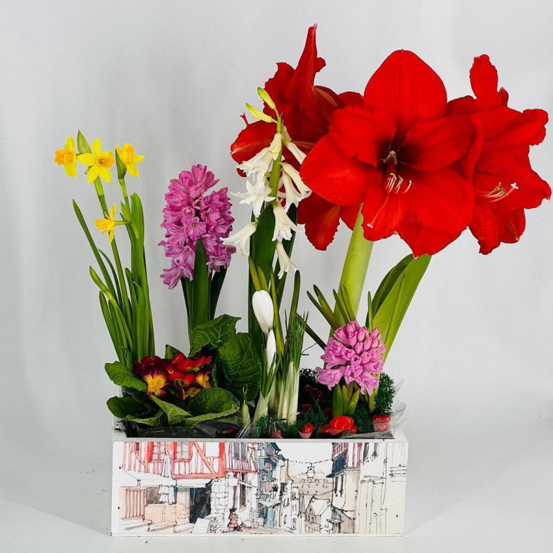 Bright composition of primroses in flowerpots, standart