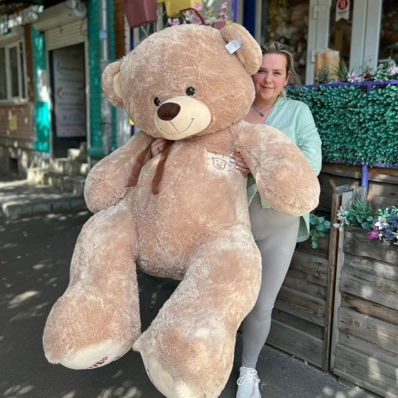 Teddy bear 2 meters is a delight!, standart