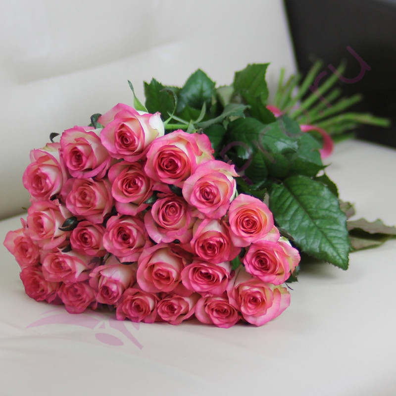 25 розовых роз Джумилия 60 см, стандартный
