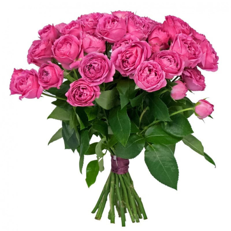 Букет из  9 кустовых  пионовидных роз сорта Мисти балз, стандартный