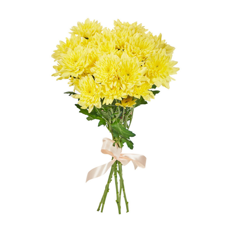 Bouquet of 5 yellow spray chrysanthemums, standart