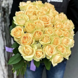31 кремовая роза «Аваланж пич» 60 см  в  упаковке на выбор