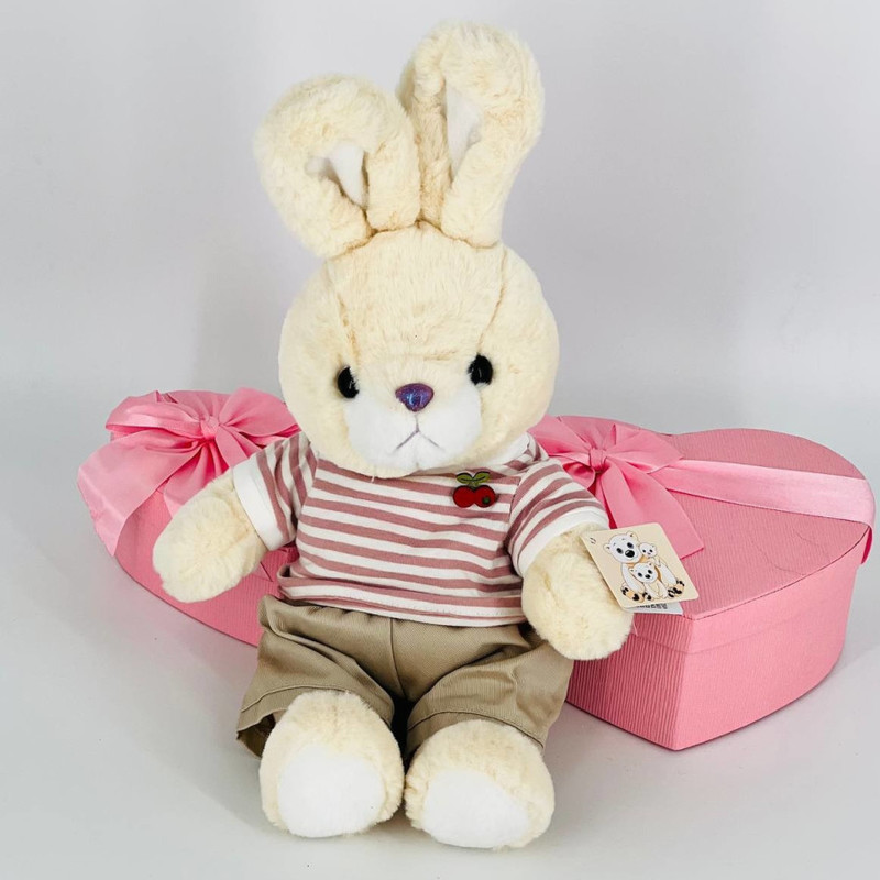 Soft toy Hare, standart
