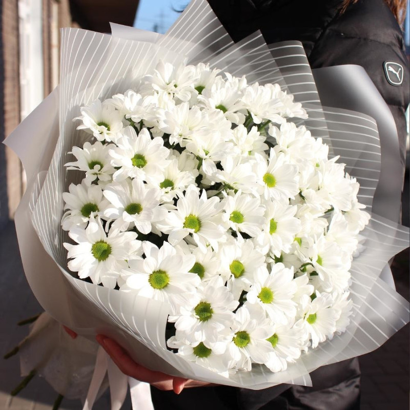 Bouquet of 9 chamomile chrysanthemums, standart
