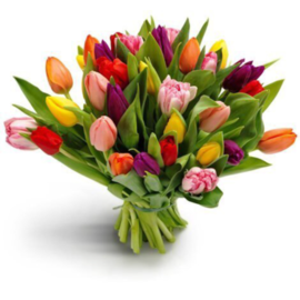 Букет Разноцветные тюльпаны