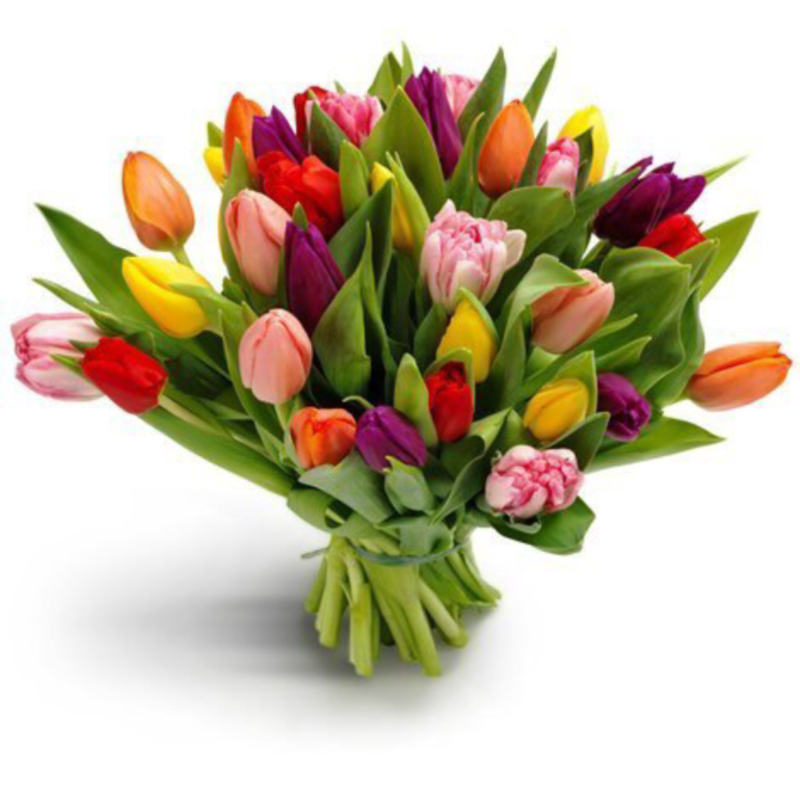 Bouquet of colorful tulips, standart