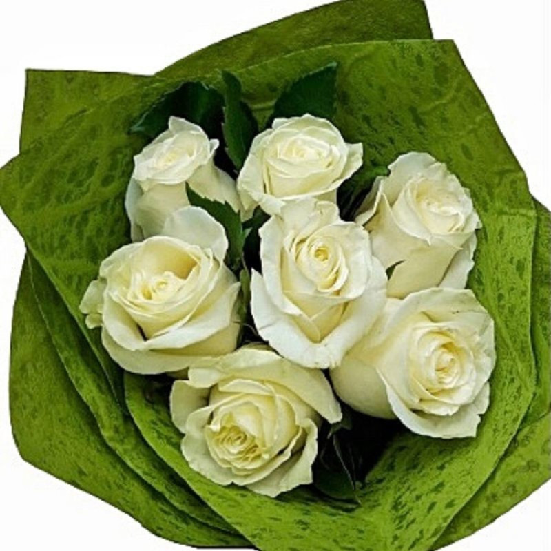 Bouquet of 7 white roses, standart