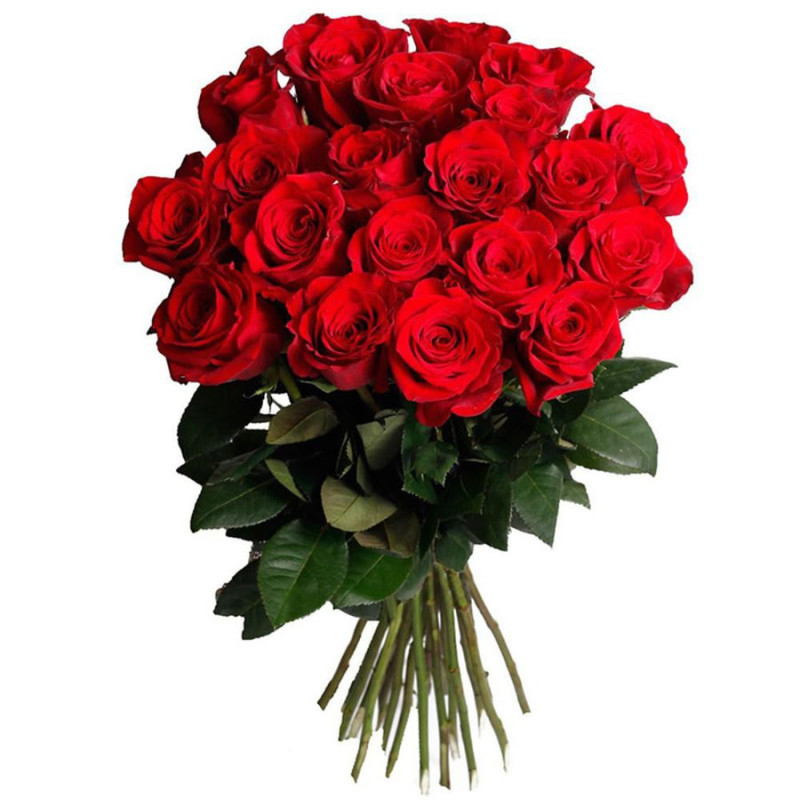 Bouquet of 19 red roses 50 cm, standart