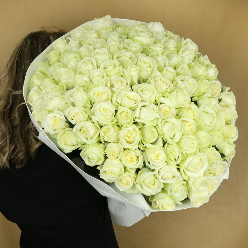BOUQUET FROM 101 WHITE ROSES IN A PACK, standart