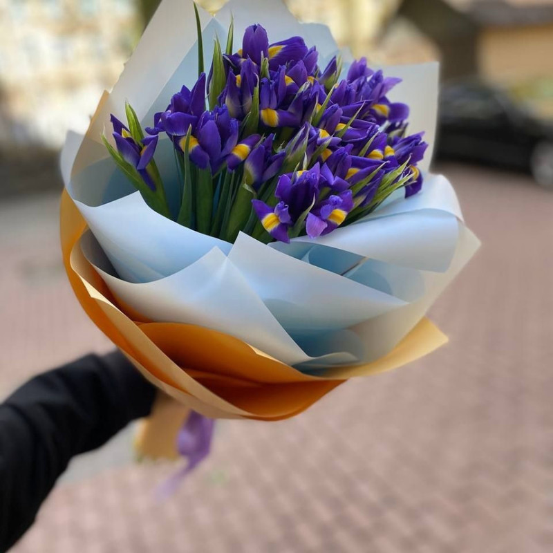 25 beautiful irises, standart