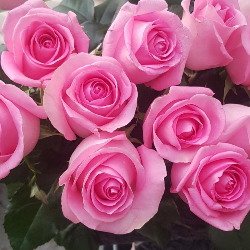 Pink roses, vendor code: 333049762, hand-delivered to Samara