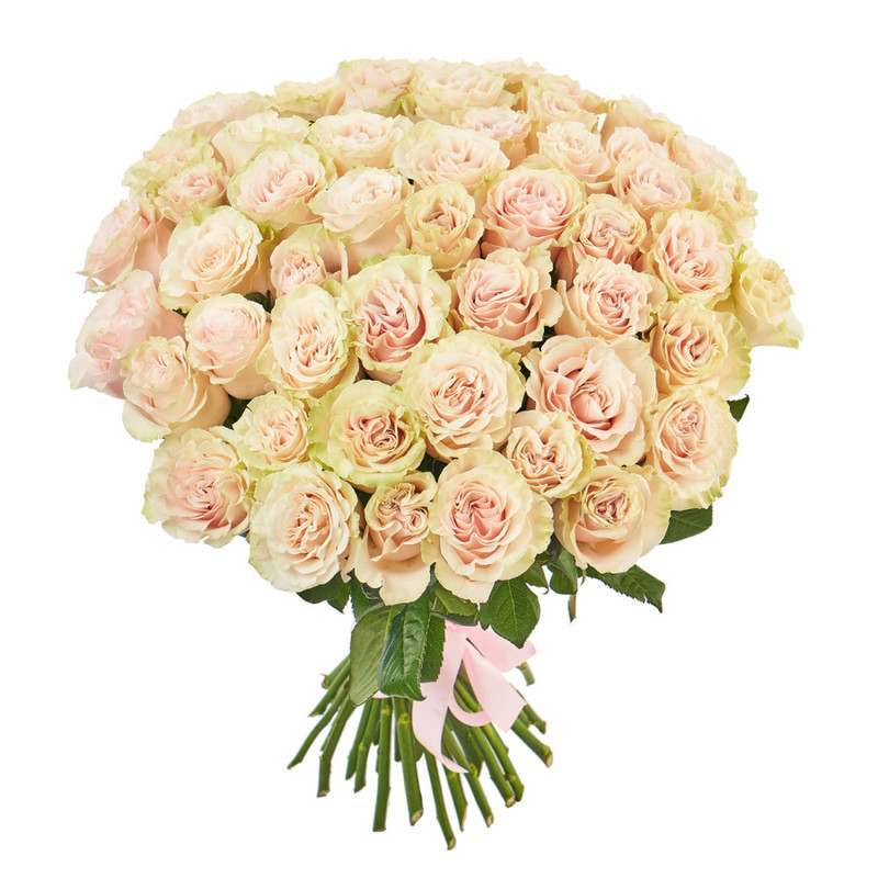 Bouquet of 51 pale pink roses, standart