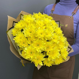 11 желтых хризантем